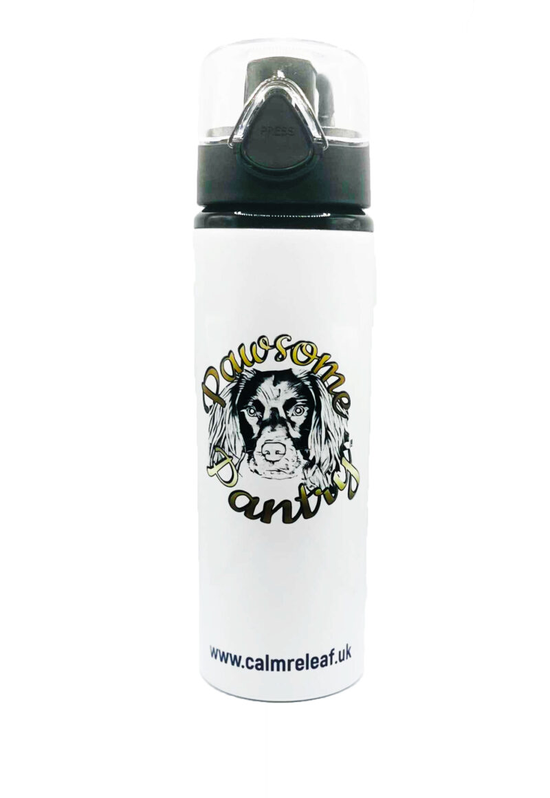 Pawsome Water Bottle